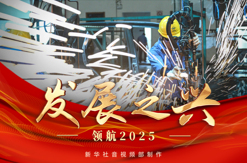 领航2025｜发展之兴