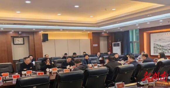 娄底市召开“十五五”规划《纲要》专家评审会