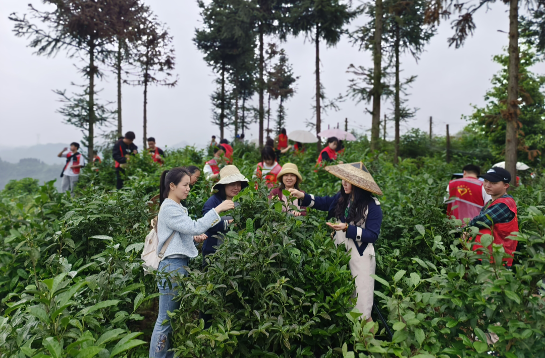 从“行走”到“走心”，湘西职院大思政课焕发新活力