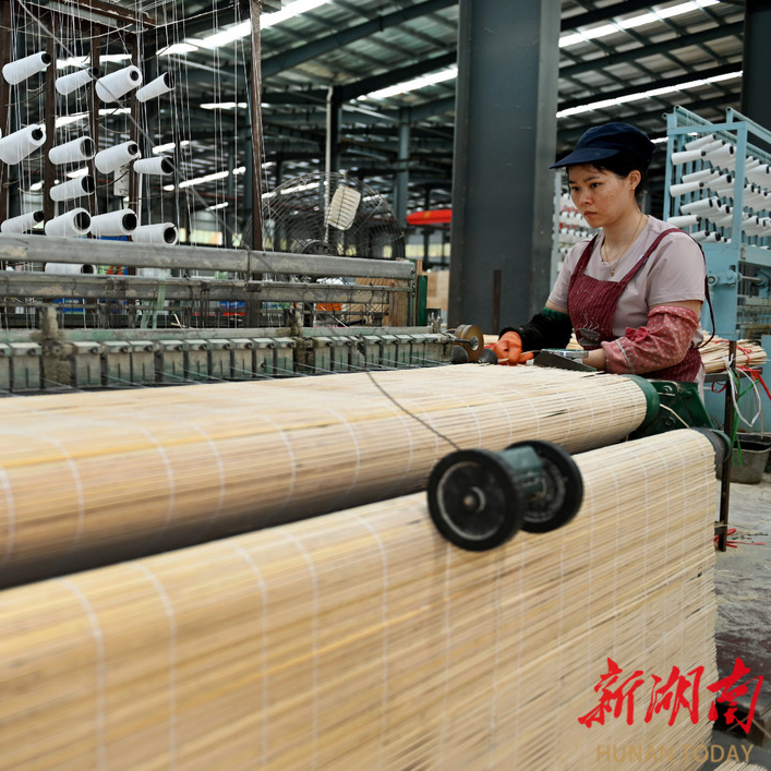 唤醒生态价值 加速“两山”转化