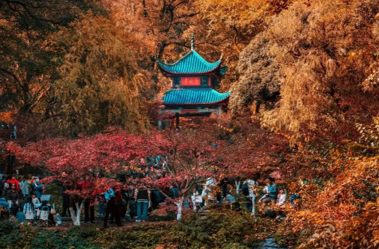 集合！岳麓山！来新湖南晒登山照领最高188元新年红包