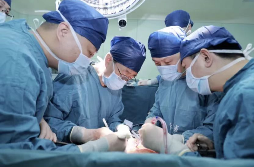 2025医学成果大盘点：多点突破，护航生命——那些重塑健康未来的重磅研究