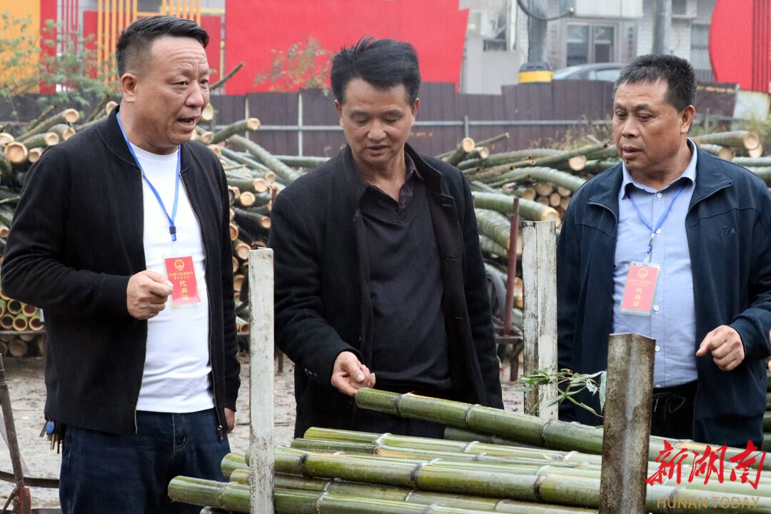 人民民主在基层|双峰：“一乡一品”激发基层人大新活力