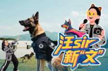 独家探秘警犬的“一室一厅”！包吃包住还包保洁，网友：我慕了！丨汪Sir新“文”第一季③ 
