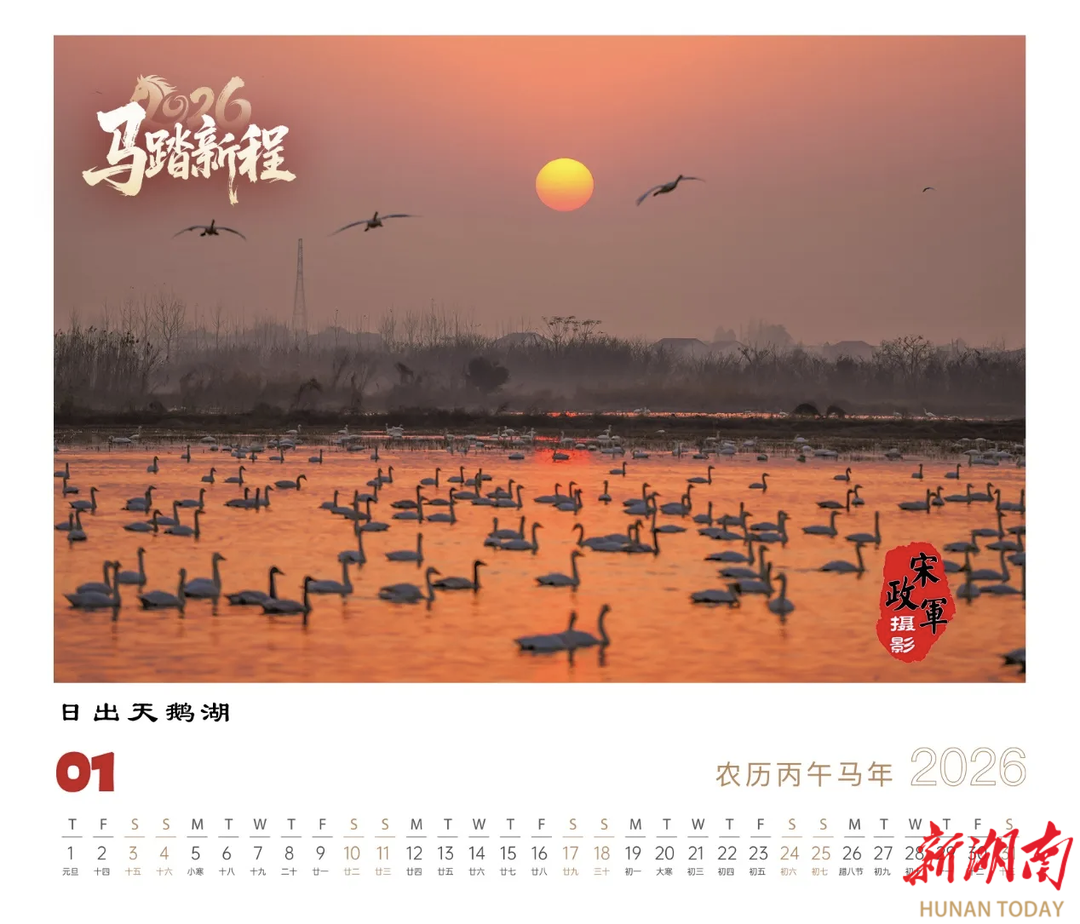 2026马踏新程！屈原管理区东古湖观鸟月历绝美上线