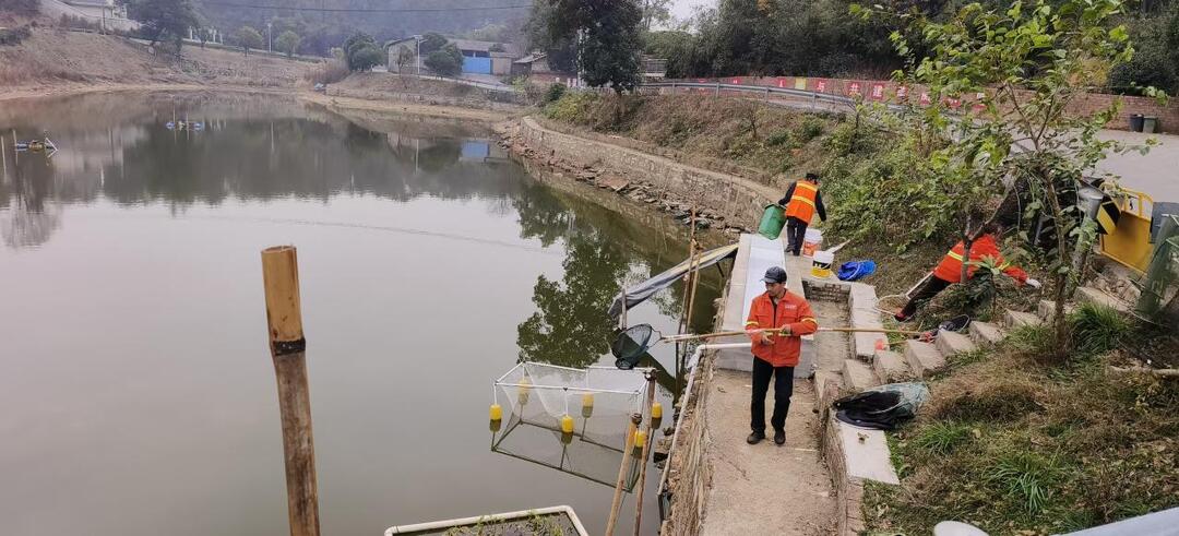 莲华村：扮靓乡村迎元旦 人居环境“常态美”