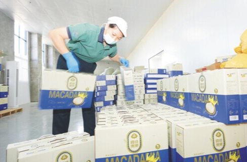 从非洲坚果到全球零食：一家湘企的海南“增值”之旅