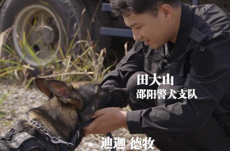 叫“迪迦”的都强得可怕！11个月大警犬上省赛 