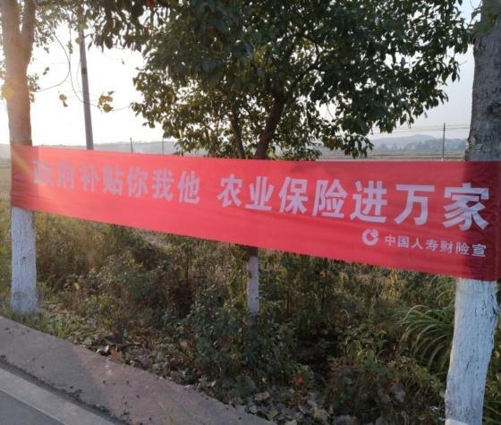 国寿财险在浏阳乡镇开展农业保险面对面宣讲