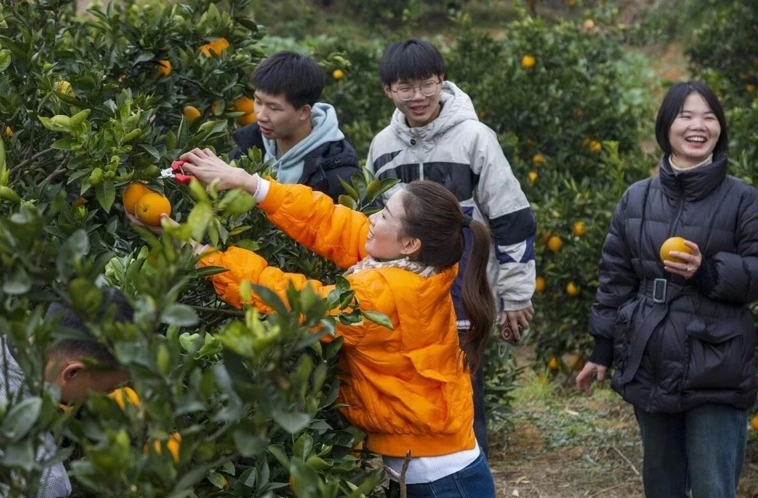 人民民主在基层|双峰县乡镇人大：决议作“金钥匙” 乡村绘“新画卷”