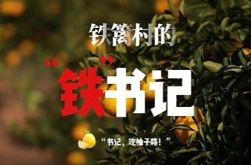 视频 | 铁篱村的“铁”书记