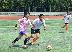 小学到高中“无缝衔接”！湖南将这样培养“三大球”学生运动队