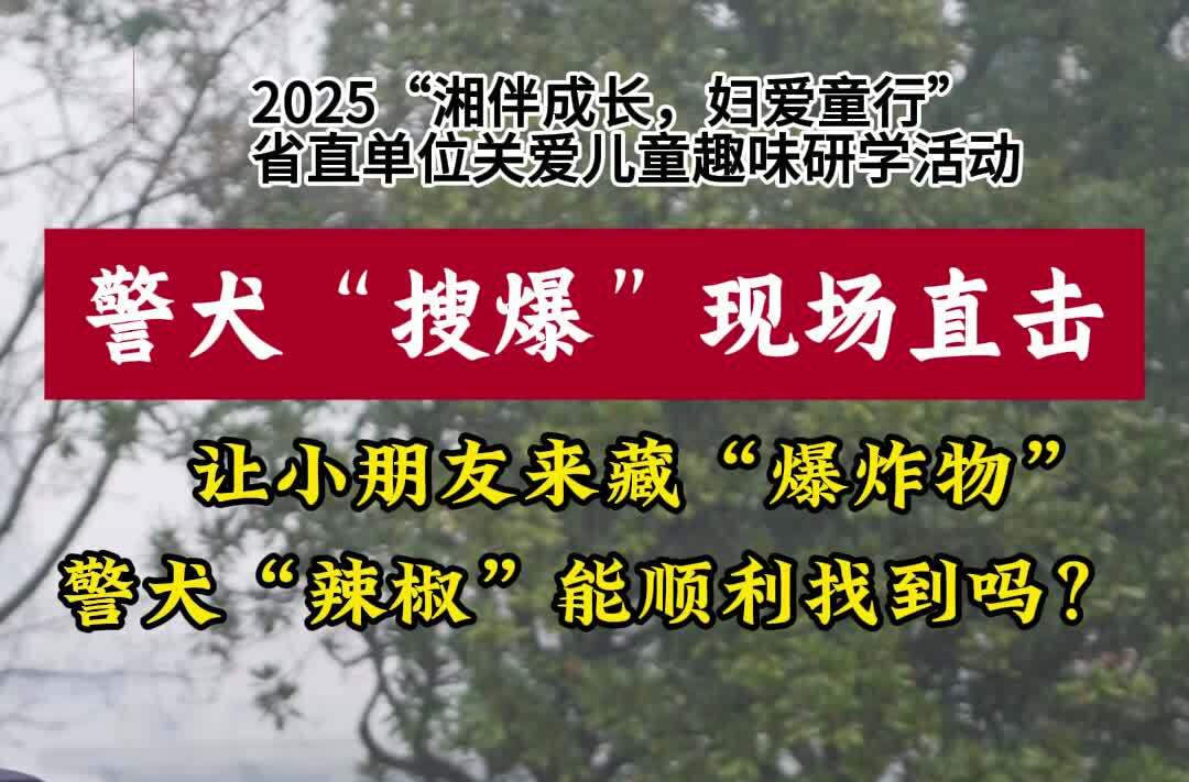 萌娃“藏宝”遇警犬“辣椒”：闻一下，就知道轮胎有“货”！ 