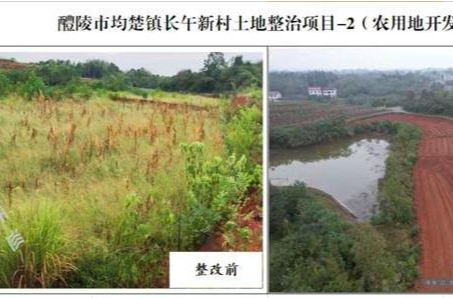 株洲“三板斧” 守护耕地红线