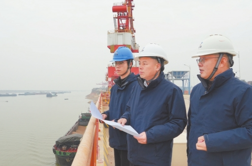 虞公港畔，又见“愚公”——记“全省担当作为优秀干部”杨亮