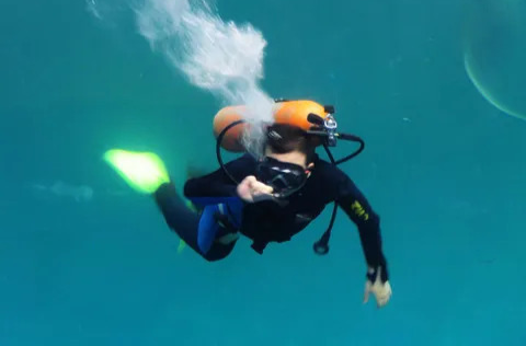 三亚回应“相关海域存在非法潜水活动”：已对涉事单位作出行政处罚