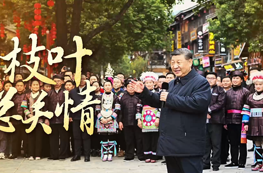 时政微视频丨枝叶总关情