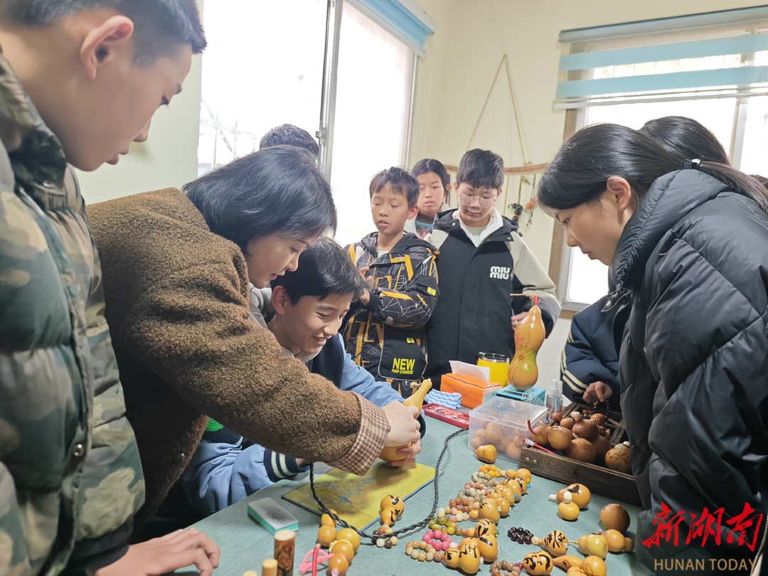 安乡安丰乡举办“暖心安丰·童行未来”结对关爱活动