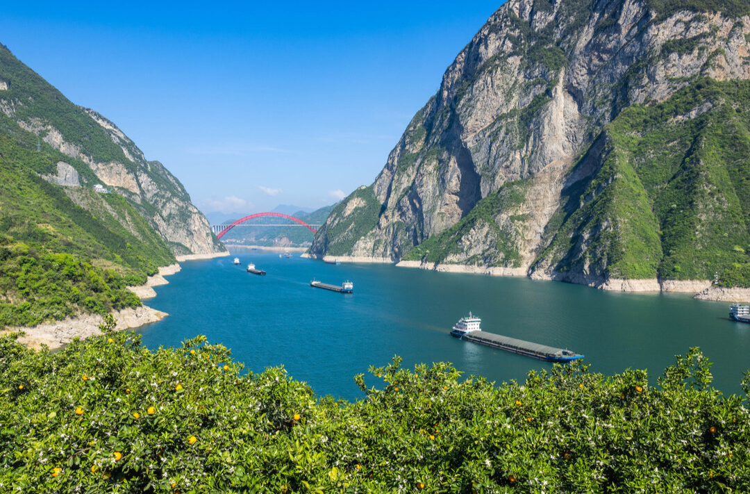 China to Boost Conservation of Yangtze Finless Porpoise over Next Decade