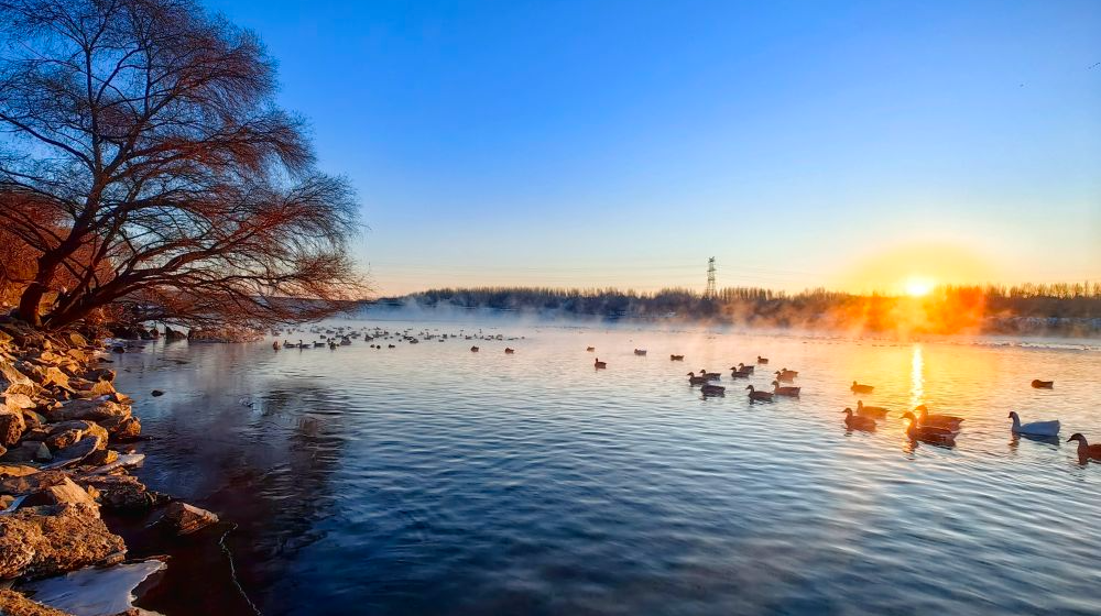 从海岸到群山：2026开年美景图鉴