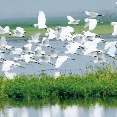 湘伴丨全国首个！湖南为江河湖库定界立规