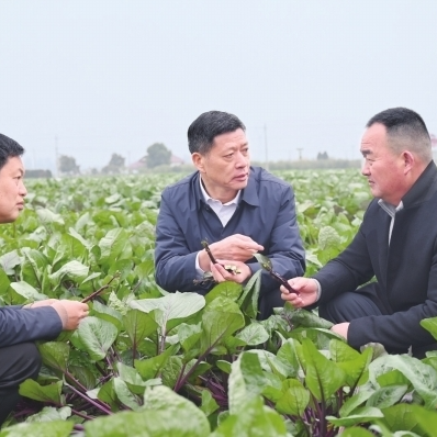 “老百姓支持的事，再难也要干成”——记“全省担当作为优秀干部”王先波