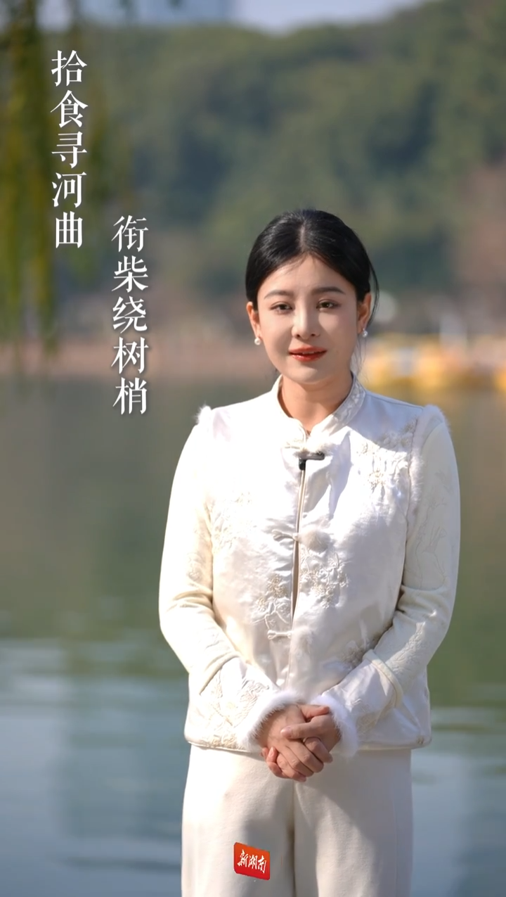 小寒至，鹊垒巢｜岁月如诗