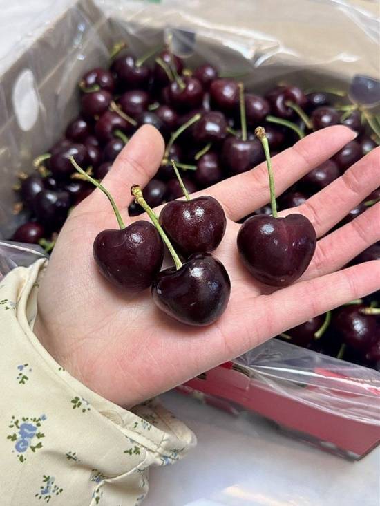 为啥车厘子1个月到中国都不腐烂，买回家没几天就坏了？