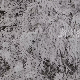 小寒，桃源乌云界披上银装，超美！