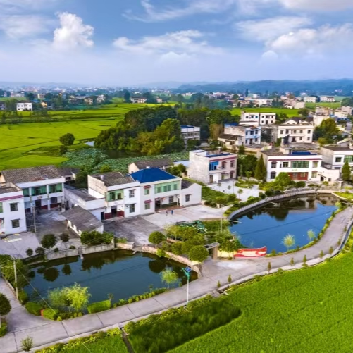 党建引擎点燃“共富密码”——湘潭巧解村集体经济增收“方程式”