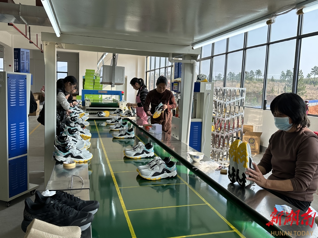 道县：多措并举出实招  创业就业见实效