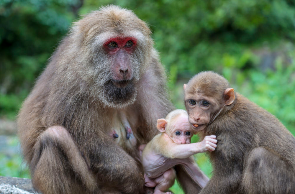 大美绽放！国家公园法施行