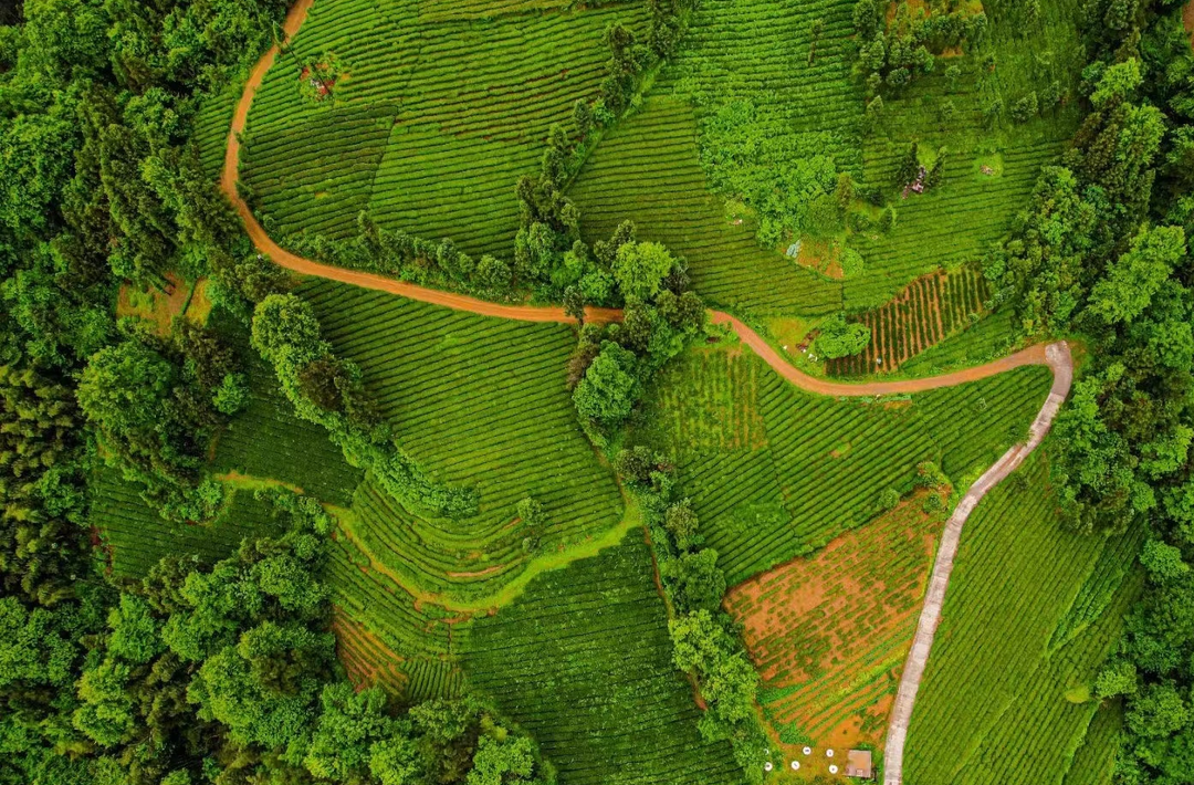 国家气候准则出炉 湖南该怎么赶上