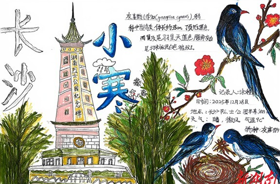 节气湖南·物候|小寒：风削枝瘦，地孕春声