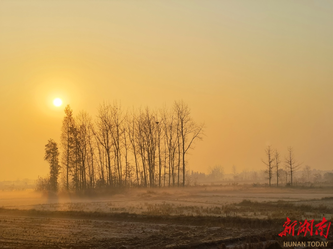 图集·冬遇常德丨卢健：常德冬韵拾影