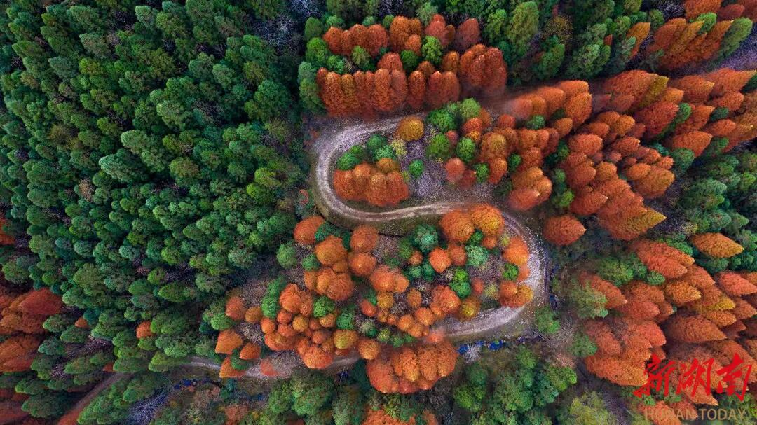 炎陵空气质量位居全省前列 再获“美丽中国·深呼吸小城”荣誉‌