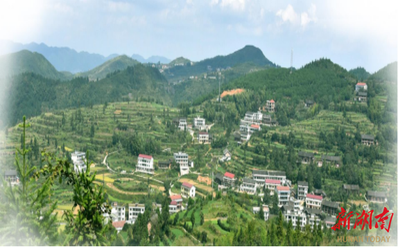 古塘乡揽获三项省级殊荣 乡村旅游迎来“高光时刻”