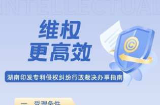 维权更高效！湖南印发专利侵权纠纷行政裁决办事指南