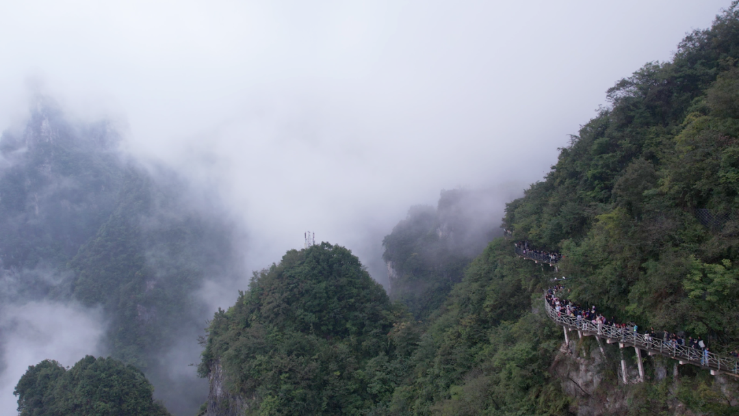 “十四五”永定答卷丨火了