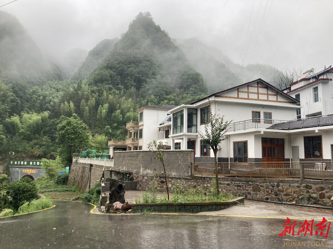 武陵源区：党建领航兴乡村 和美协合谱新篇