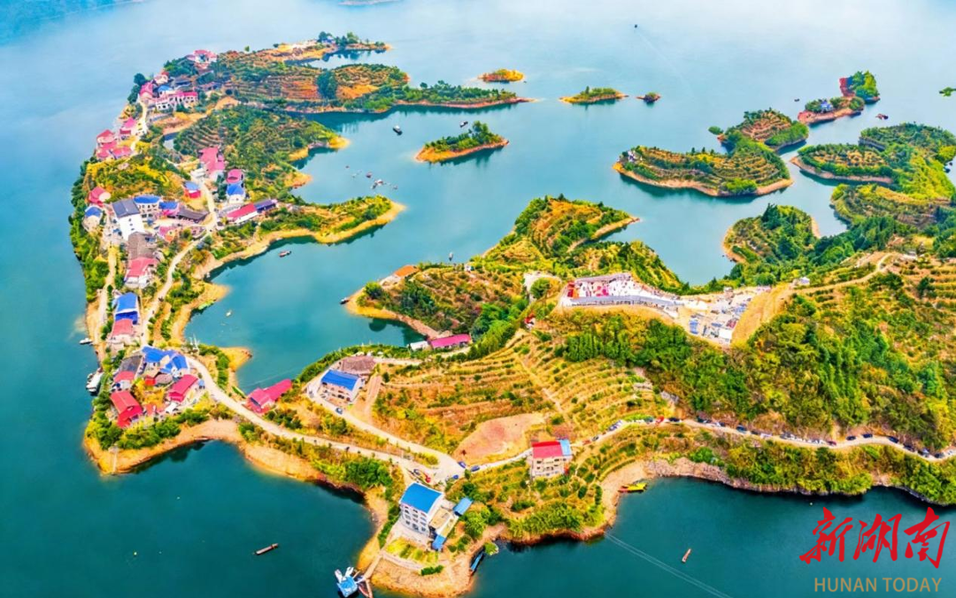 橘园美、乡村兴、村民富，解码三星级乡旅区宝塔山村如何通过农文旅融合铺就幸福路