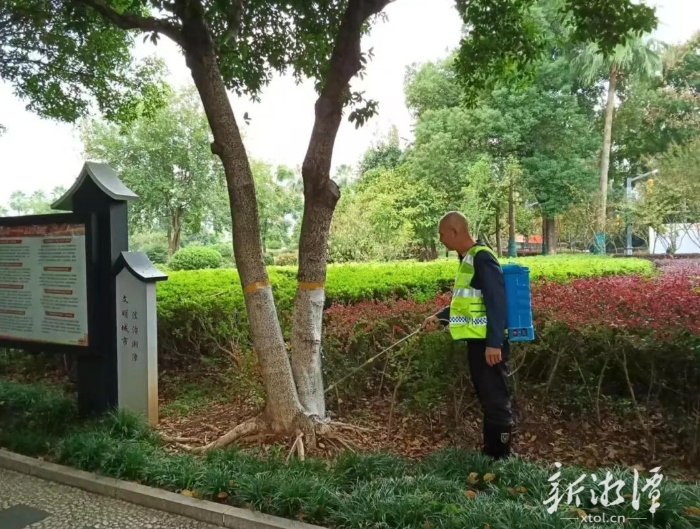 湘潭城区6.4万棵行道树披“白衣”过冬