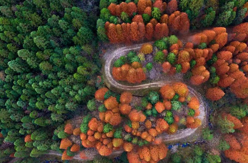 炎陵空气质量位居全省前列 再获“美丽中国·深呼吸小城”荣誉‌