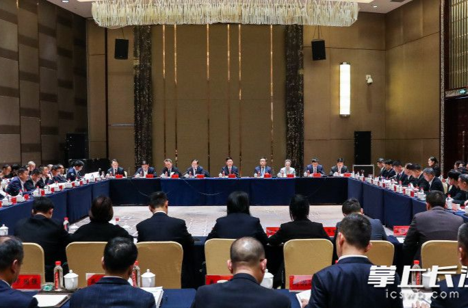 陈博彰参加浏阳市、芙蓉区、开福区、望城区代表团审议