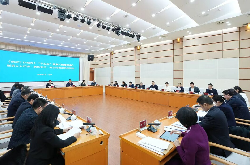 毛偉明就《政府工作報告》、“十五五”規劃《綱要草案》征求代表委員意見