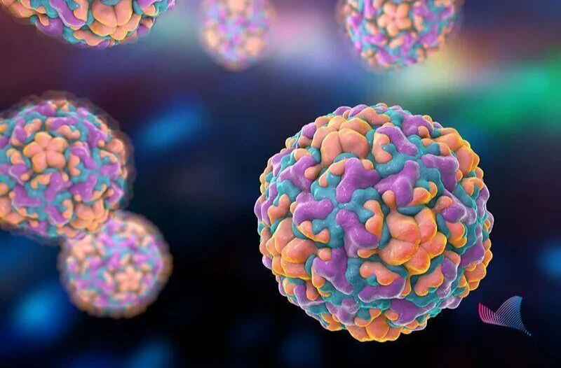 阳性率上升 无特效药和疫苗！中疾控提醒警惕鼻病毒