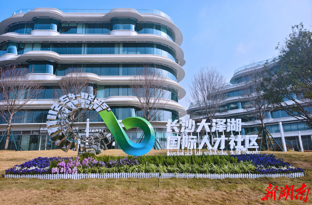 望城区打造国际人才“强磁场”@湖南日报