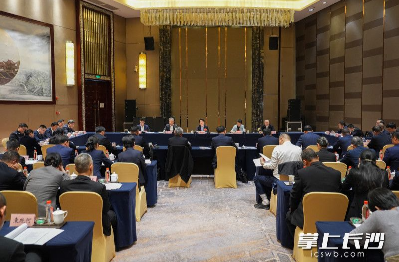 吴桂英参加宁乡市、雨花区代表团审议