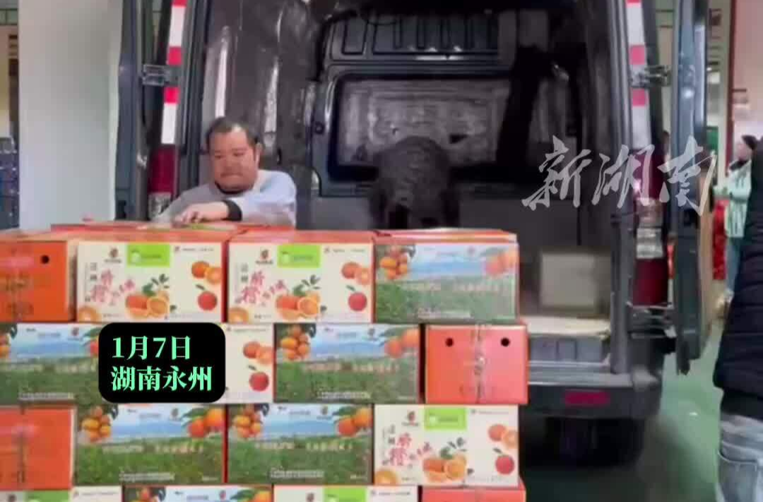 13车脐橙奔赴江苏，永州道县 “神秘网友”答谢江苏“十三太保”