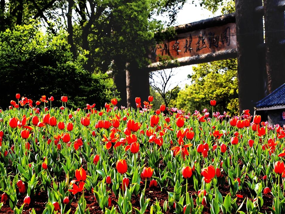 21_副本.jpg 永州市森林植物园.jpg